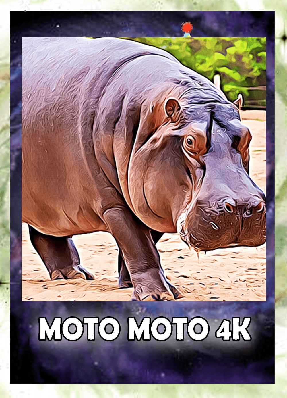 MOTO MOTO XD - Pet card